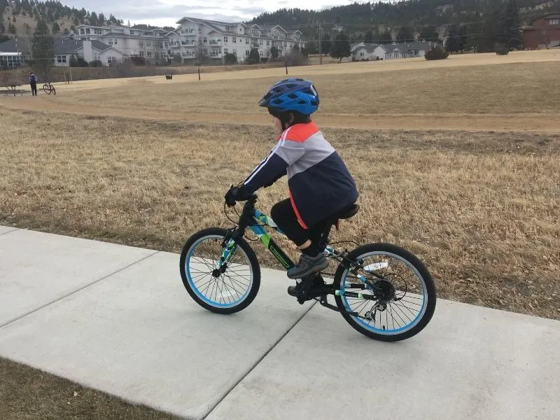 guardian 20 inch large ethos bike