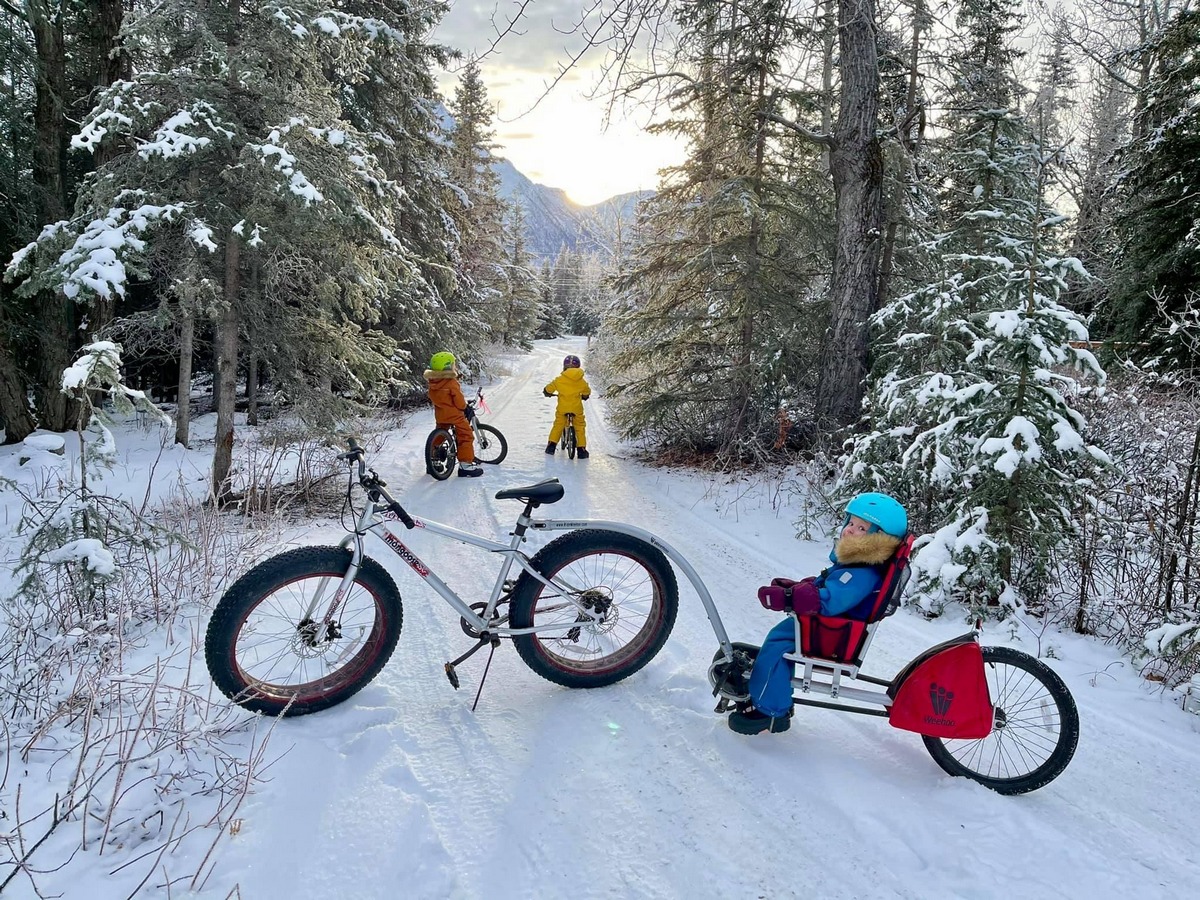 WeeHoo TURBO Bike Trailer Review Kids Ride Bikes