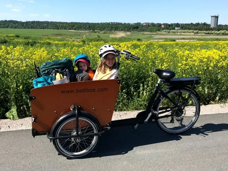 A wooden box bike with the label Babboe.com sits on a paved path next to a field of vibrant yellow wildflowers. There are two kids in the cargo bike and camping gear. The forest is in the background. 