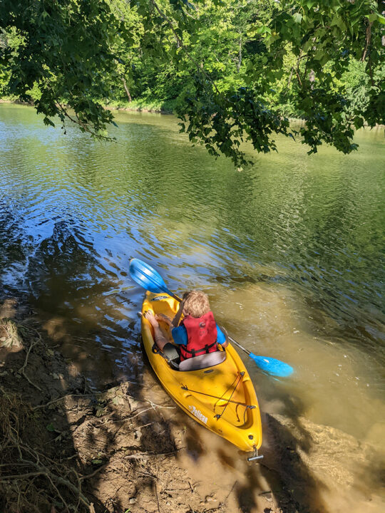Child in a yellow kayak under a tree at the side of a river.